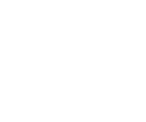 network network